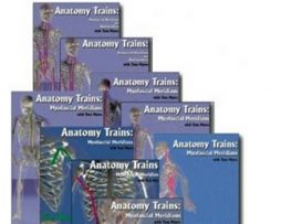 Anatomy Trains – Myofascial Meridians